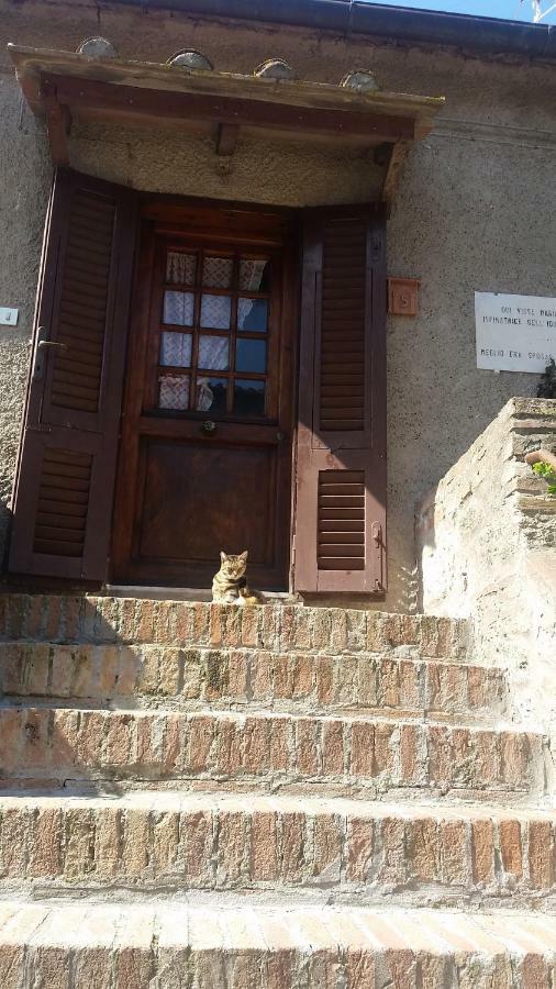 Apartamento Torre Rossa Bolgheri Exterior foto
